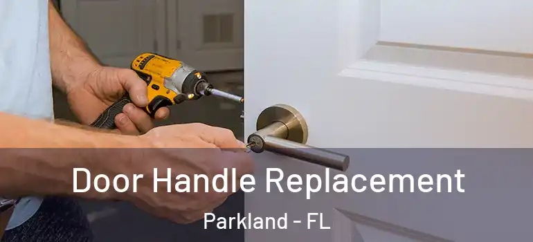  Door Handle Replacement Parkland - FL