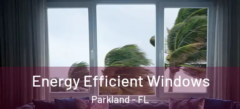  Energy Efficient Windows Parkland - FL
