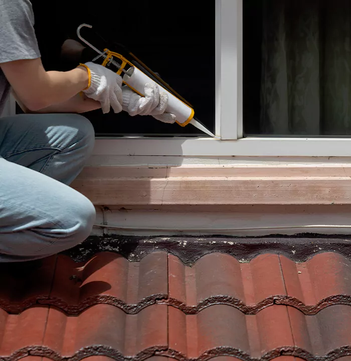 Roof Window Services in Parkland, Florida