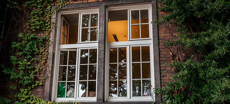 Energy Efficient Wood Windows in Parkland, FL