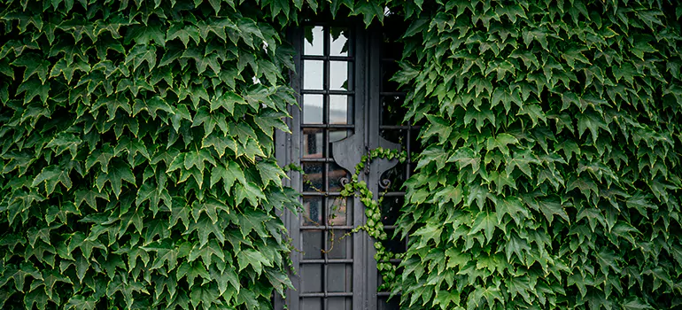 Garden Gate Repair in Parkland, FL
