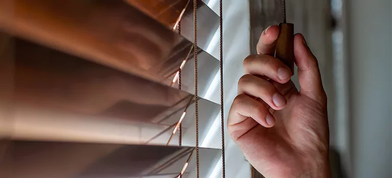 Double Roller Blinds in Parkland, FL