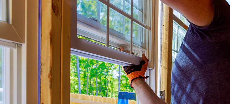 Decorative Window Film Services in Parkland, FL