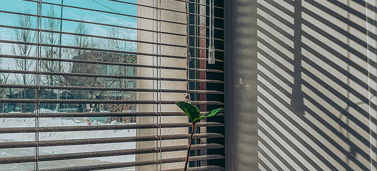Commercial Window Blinds in Parkland, FL