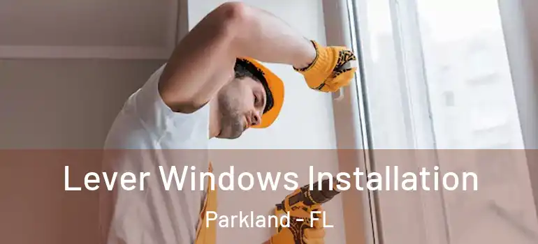  Lever Windows Installation Parkland - FL