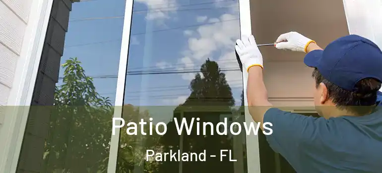  Patio Windows Parkland - FL