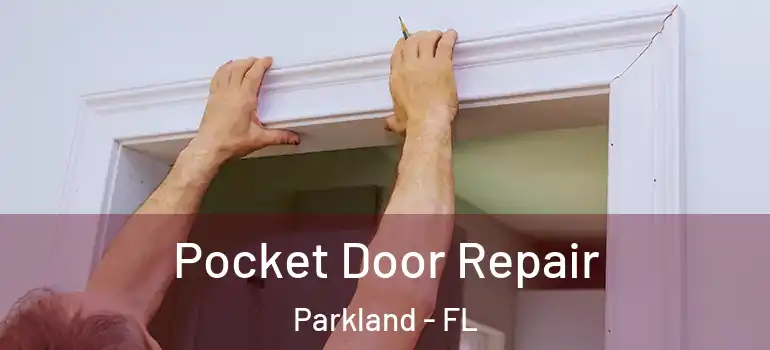  Pocket Door Repair Parkland - FL