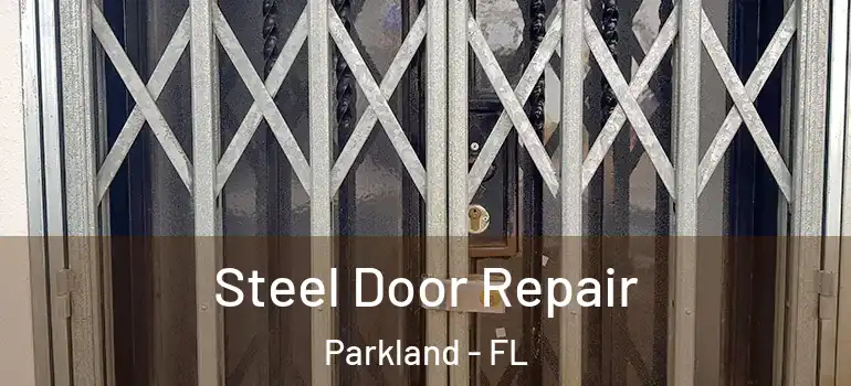  Steel Door Repair Parkland - FL