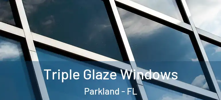  Triple Glaze Windows Parkland - FL