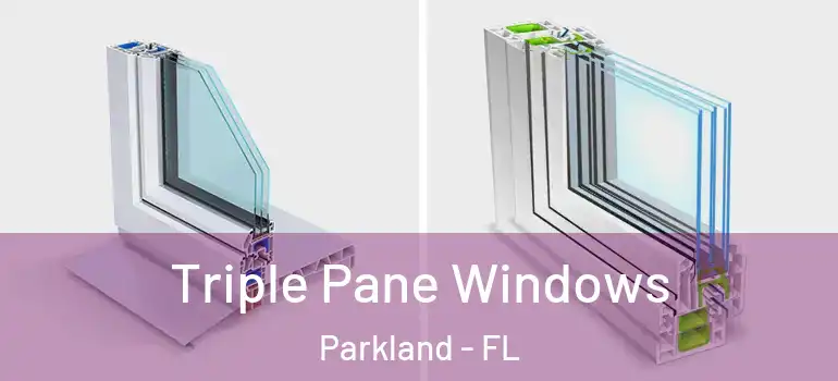  Triple Pane Windows Parkland - FL