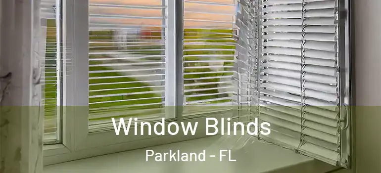  Window Blinds Parkland - FL