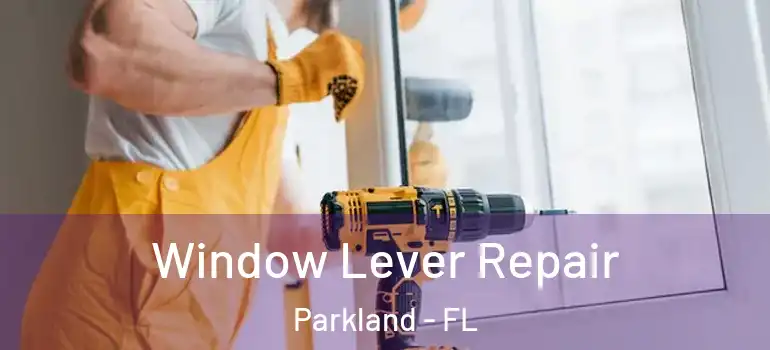  Window Lever Repair Parkland - FL