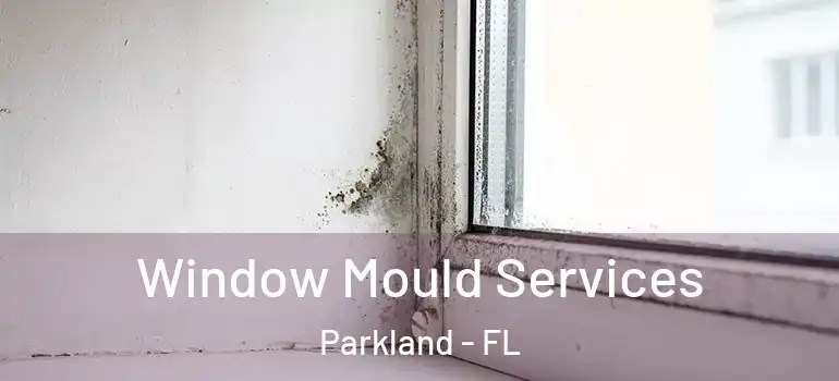  Window Mould Services Parkland - FL